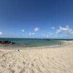 🌴 Why Summer in the Florida Keys Is the Best-Kept Vacation Secret